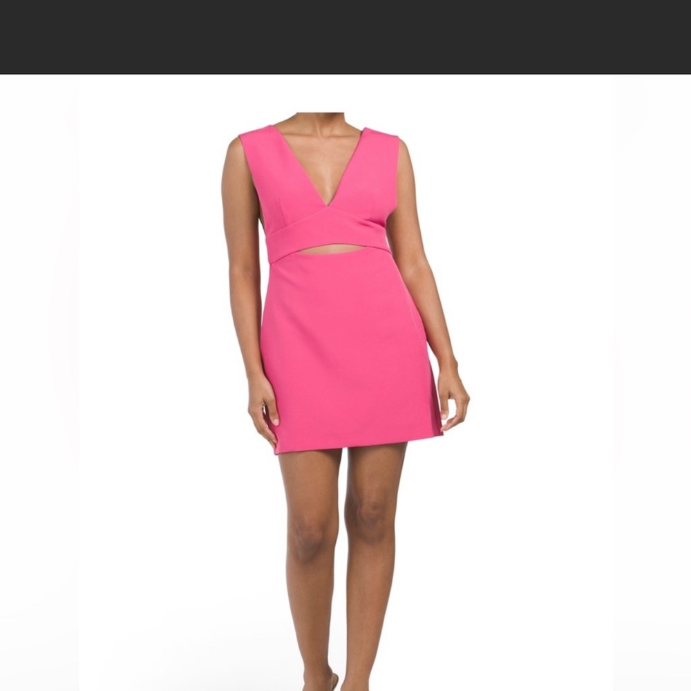 Endless Rose Dress